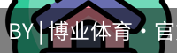 博业体育官网入口